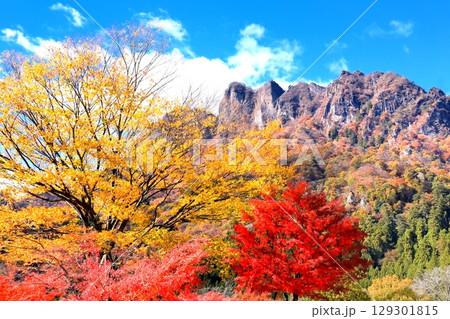 妙義山の紅葉 129301815