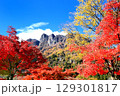 妙義山の紅葉 129301817