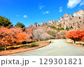 妙義山の紅葉 129301821