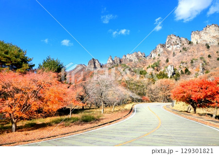 妙義山の紅葉 129301821