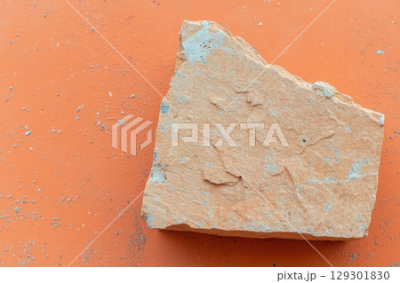 Fossilized rock fragment discovered on orange background in outdoor setting Fossilized rock fragment discovered on orange background in outdoor setting 129301830