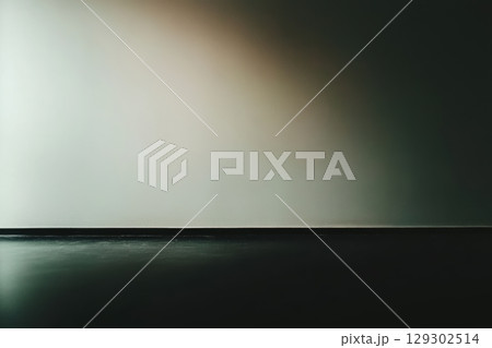 Soft light illuminates a minimalistic space with dark flooring and a seamless light wall 129302514
