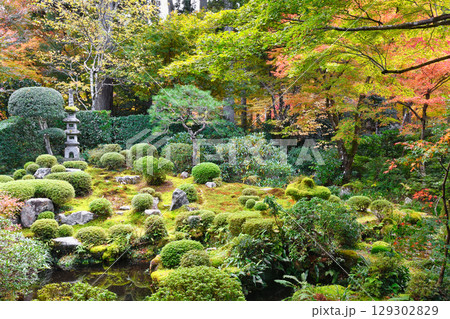 大原　三千院　聚碧園の美しい紅葉（京都府京都市左京区） 129302829
