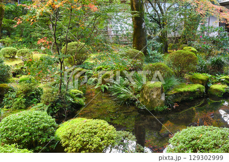 大原 三千院 聚碧園の美しい紅葉(京都府京都市左京区) 大原 三千院 聚碧園の美しい紅葉(京都府京都市左京区) 129302999
