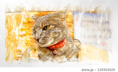 スケッチ風 猫 ネコ ねこ キジトラ グレー 雌 メス 雌ねこ 雌ネコ 元気 かわいい 癒し 129303020