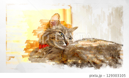 スケッチ風 猫 ネコ ねこ キジトラ グレー 雌 メス 雌ねこ 雌ネコ 元気 かわいい 癒し 129303105