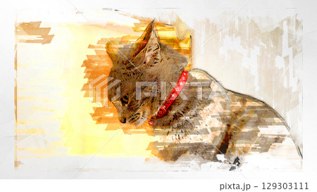 スケッチ風 猫 ネコ ねこ キジトラ グレー 雌 メス 雌ねこ 雌ネコ 元気 かわいい 癒し 129303111