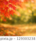鮮やかな紅葉 129303238