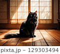 障子越しの光に包まれた和室で静かに座る長毛の黒猫のイラスト 129303494