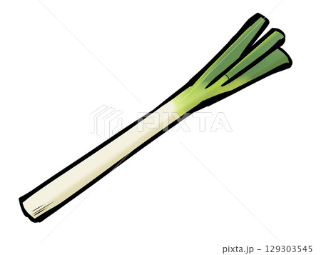 筆 長ネギ 野菜 薬味 129303545
