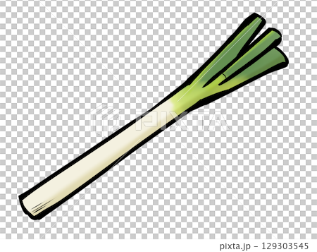 筆 長ネギ 野菜 薬味 129303545
