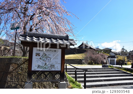 小諸市　大手門公園入口と観光案内板と満開シダレザクラ 129303548