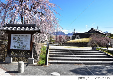 小諸市　大手門公園入口と観光案内板と満開シダレザクラ 129303549