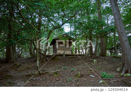 胎金寺山の山頂にある社 129304014