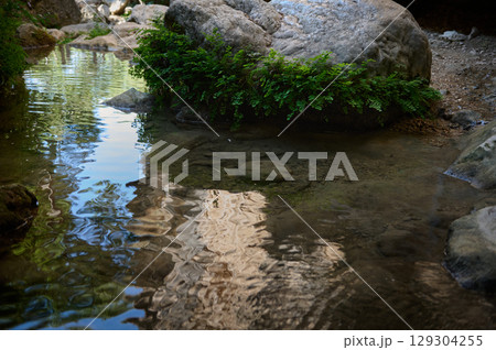 Tranquil Stream Scene with Reflection and Lush Vegetation in Natural Setting Tranquil Stream Scene with Reflection and Lush Vegetation in Natural Setting 129304255