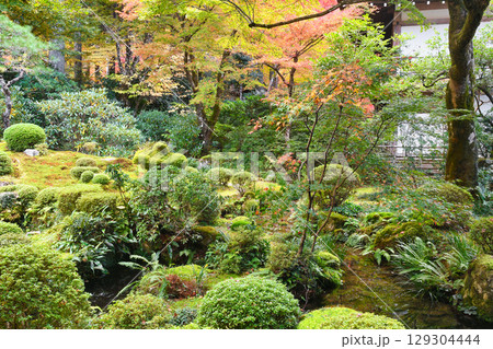 大原　三千院　聚碧園の美しい紅葉（京都府京都市左京区） 129304444