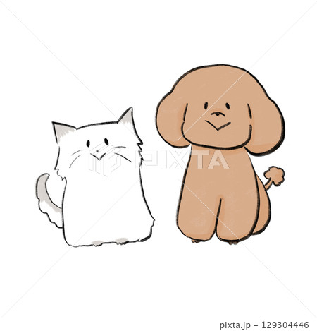 笑顔で正面を向く犬と猫 129304446