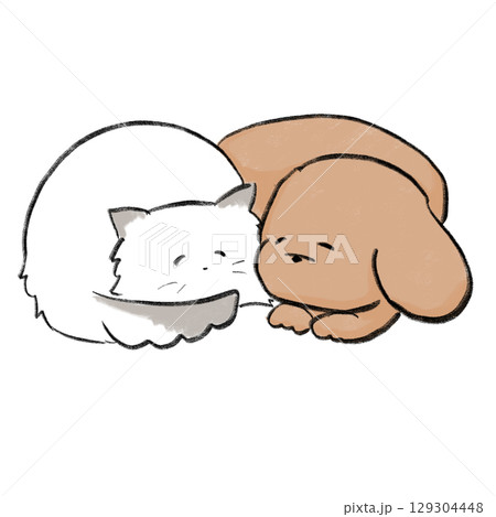 丸まって寝る犬と猫 129304448