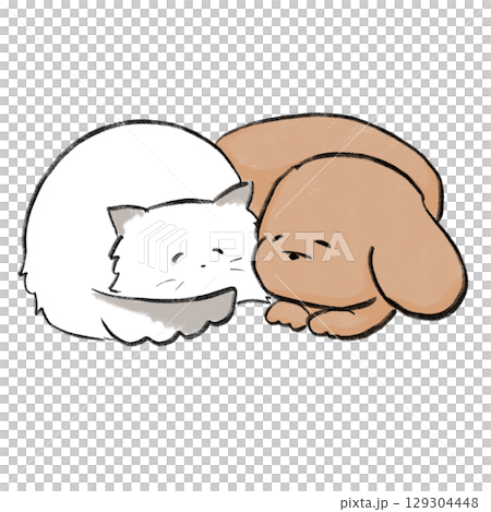 Dog and cat sleeping curled up 129304448