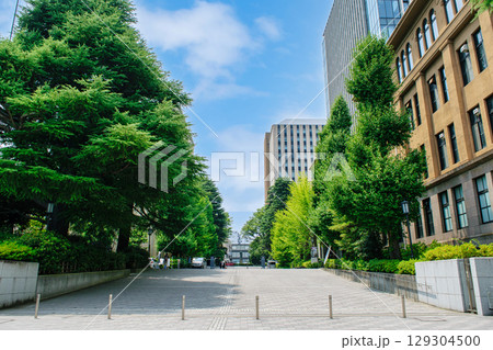 早稲田大学　正門 129304500