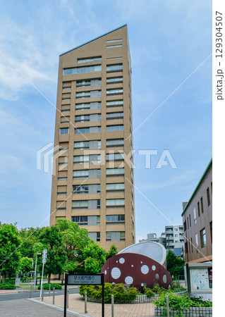 早稲田大学　大隈記念タワー 129304507