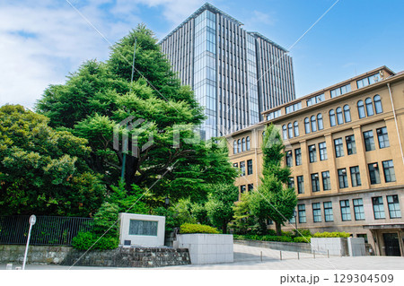 早稲田大学　正門 129304509