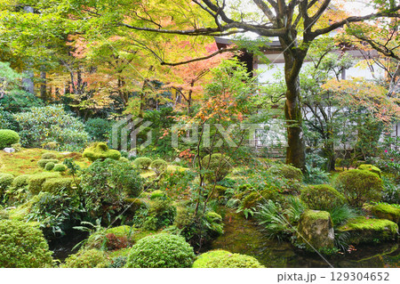 大原 三千院 聚碧園の美しい紅葉(京都府京都市左京区) 大原 三千院 聚碧園の美しい紅葉(京都府京都市左京区) 129304652