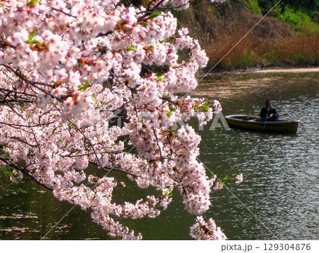 2009.4.7 紀尾井町弁慶濠の桜 129304876