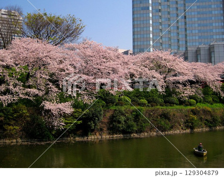 2009.4.7 紀尾井町弁慶濠の桜 129304879