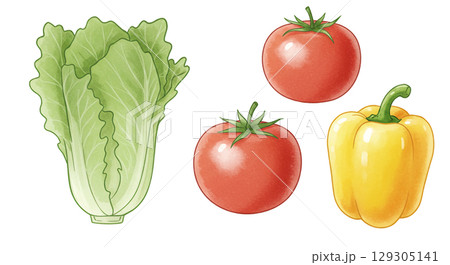 いろいろな野菜のイラスト 129305141