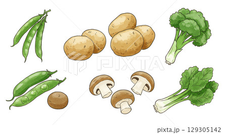 いろいろな野菜のイラスト 129305142