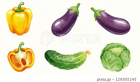 いろいろな野菜のイラスト いろいろな野菜のイラスト 129305145