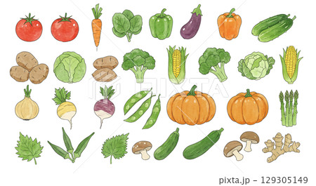 いろいろな野菜のイラスト 129305149