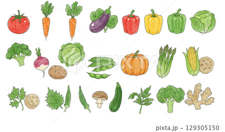 いろいろな野菜のイラスト 129305150