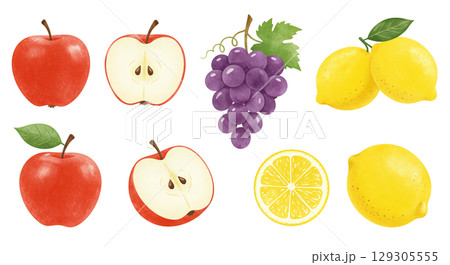様々なフルーツのイラストセット 129305555