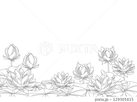 背景素材<花・蓮・モノクロ・線画> 背景素材<花・蓮・モノクロ・線画> 129305815