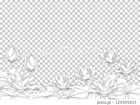 背景素材<花・蓮・モノクロ・線画> 背景素材<花・蓮・モノクロ・線画> 129305815