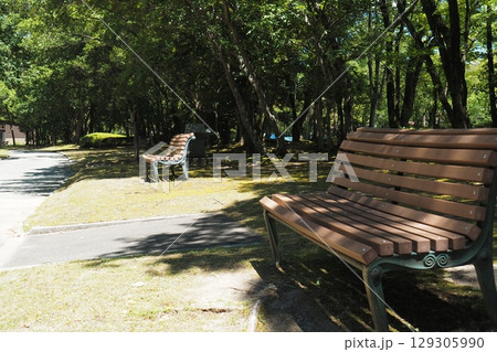 公園の木陰にあるベンチ 129305990