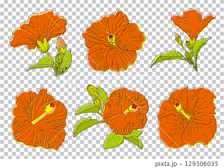 Summer flowers red hibiscus set Summer flowers red hibiscus set 129306035