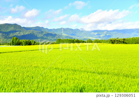高森町色見より南外輪の山々方面を望む(熊本県高森町)【2025.7】 129306051