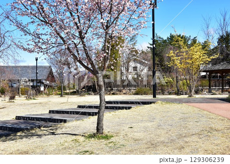 小諸市　大手門公園の散策路とせせらぎの丘と青空 129306239