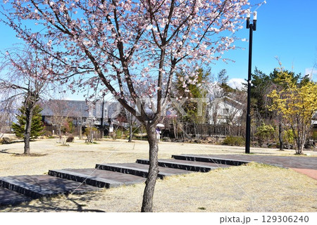 小諸市　大手門公園の散策路とせせらぎの丘と青空 129306240