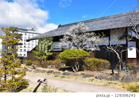 小諸市 大手門公園の本陣主屋と青空 小諸市 大手門公園の本陣主屋と青空 129306243