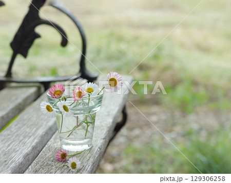 ベンチに小花 ベンチに小花 129306258