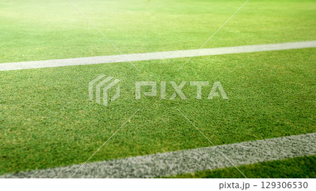 Yard line on the turf of an American football green field stadium Yard line on the turf of an American football green field stadium 129306530