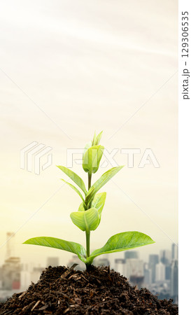 Plant on the ground with a cityscape background. Concept of World Engineer Day 129306535