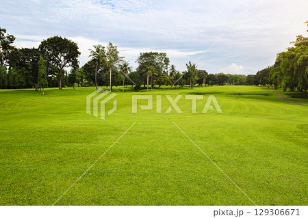 Green golf course on a sunny day with trees and a blue sky background. Sport or natural background 129306671