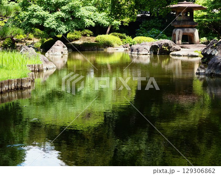 酷暑の旧古河庭園の心字池に鎮座する雪見灯籠 129306862