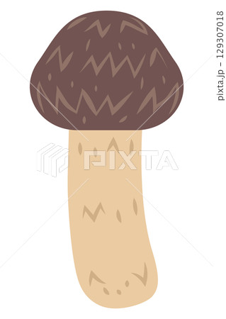 松茸のイラスト 129307018