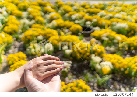 手と手を重ねる幸せの瞬間④ 129307144